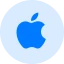 Apple Developer 标志